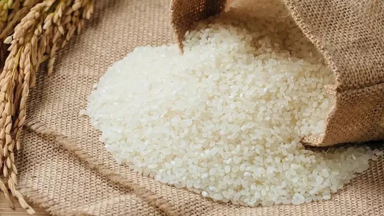 نقيب الفلاحين يكشف تراجع أسعار الأرز الأبيض والشعير