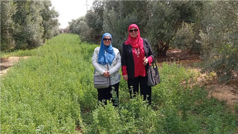 الحجر الزراعي يكثف جهود التفتيش والمتابعة للرقابة على الحاصلات الزراعية