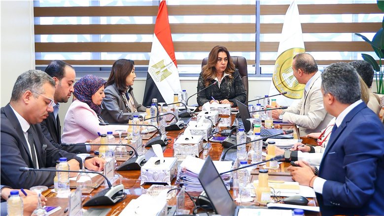 الأمم المتحدة: تدريب 5000 من العاملين بالمحليات و466 مليون جنيه لدعم التنمية الاقتصادية