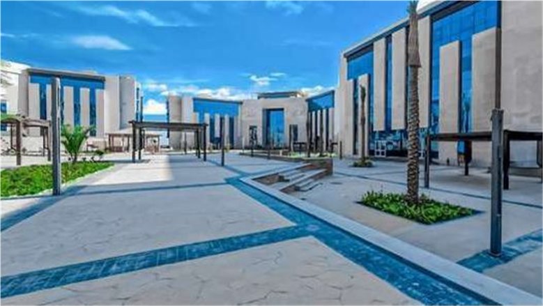 التعليم العالي في كل مكان.. كيف أعادت الدولة رسم الخريطة الجامعية في مصر؟