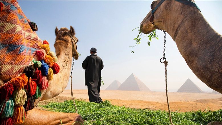 رئيس اتحاد السياحة بأوزبكستان: التعاون السياحي مع مصر يتطور بشكل سريع