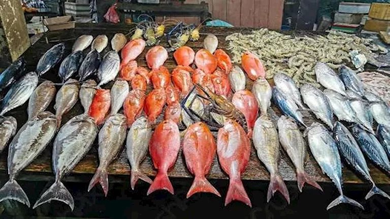 أسعار الأسماك والمأكولات البحرية في سوق العبور اليوم الثلاثاء