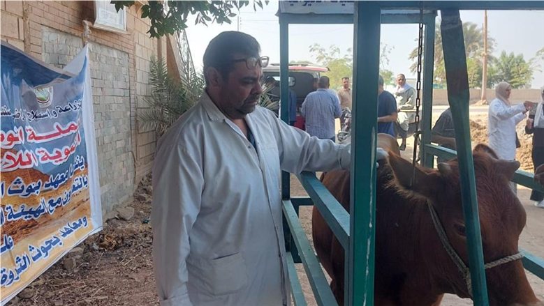 «الزراعة» تطلق قافلة بيطرية لدعم صغار المربين في قرية "إفوة" المنتجة ببني سويف